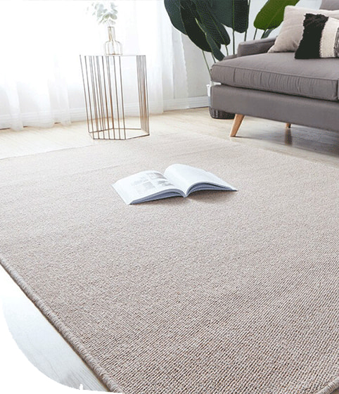 carpet rugs round image