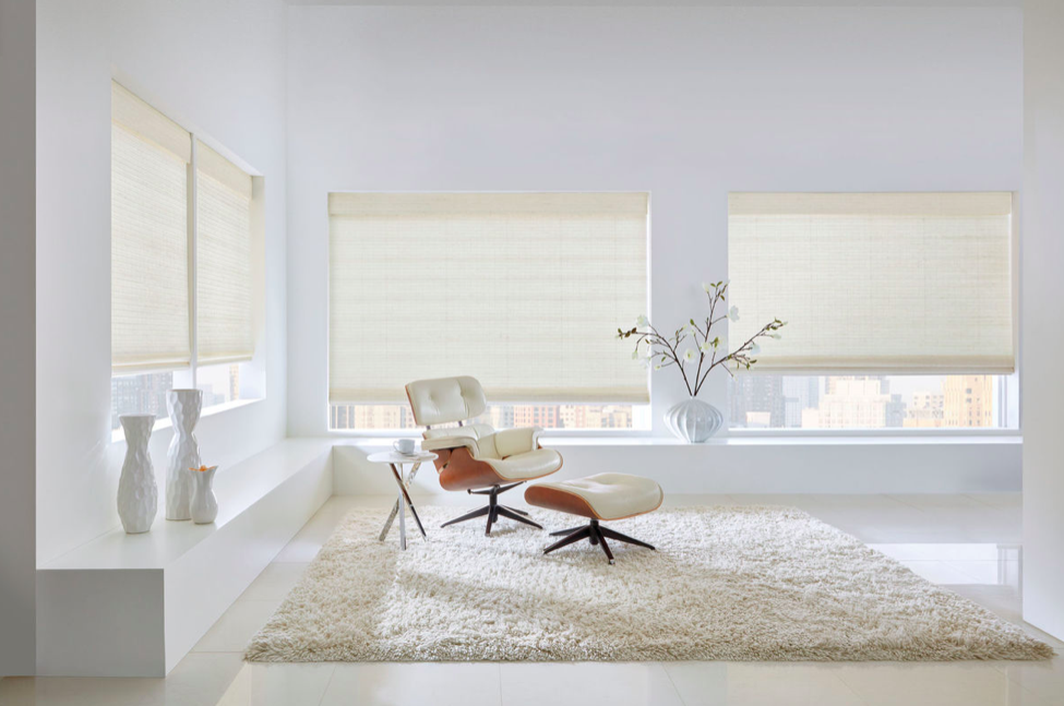 Minimalist window blinds