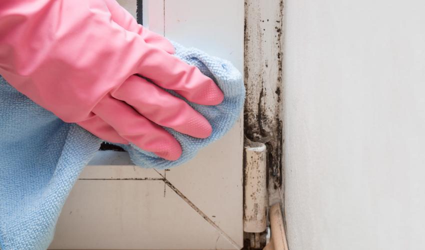 Cleaning Mold Off Wood Furniture