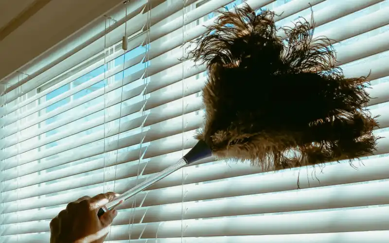 Dusting Roman Blinds