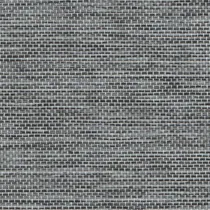 Screenline 977