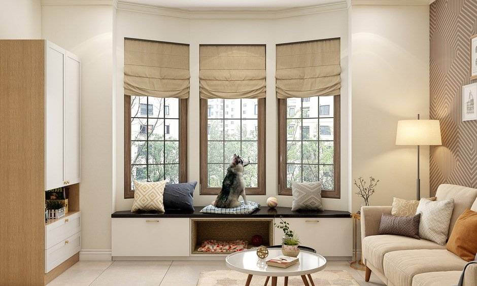 Expert Window Design Ideas