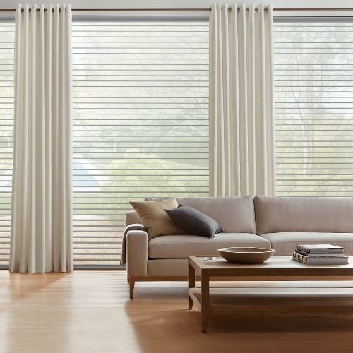Window blinds curtains
